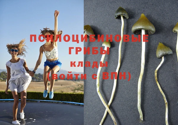 прущая мука Алексин