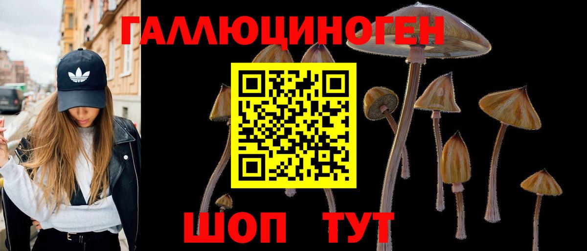 Йошкар-Ола  Галлюциногенные грибы мухоморы  Вход с VPN 